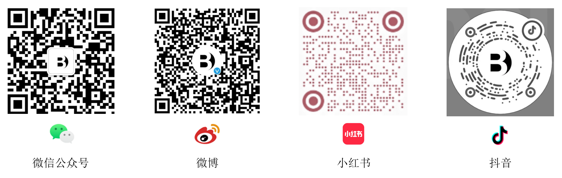 Social Medias QR Code-cn